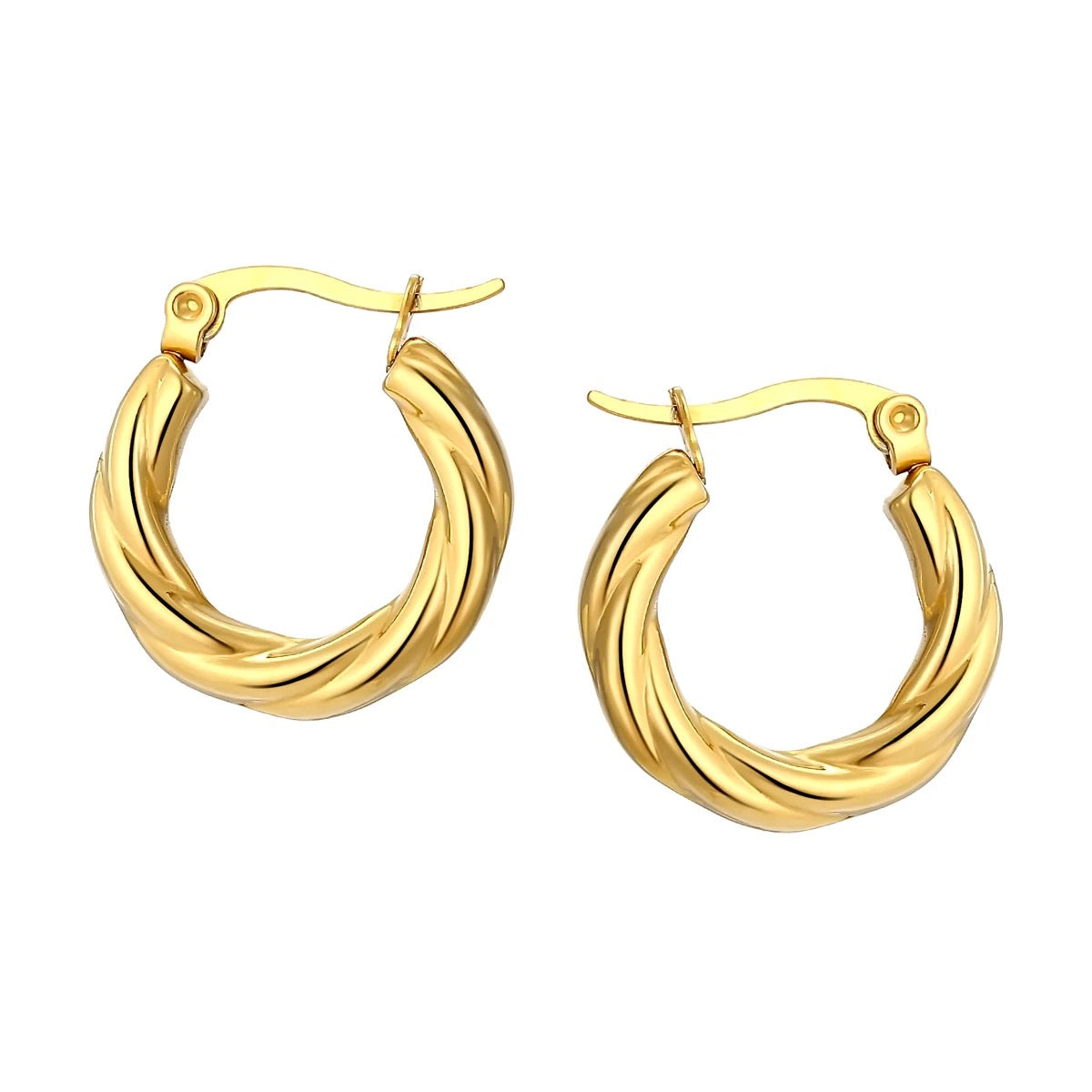 Twisted Elegant Hoop Earrings