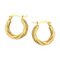 Twisted Elegant Hoop Earrings