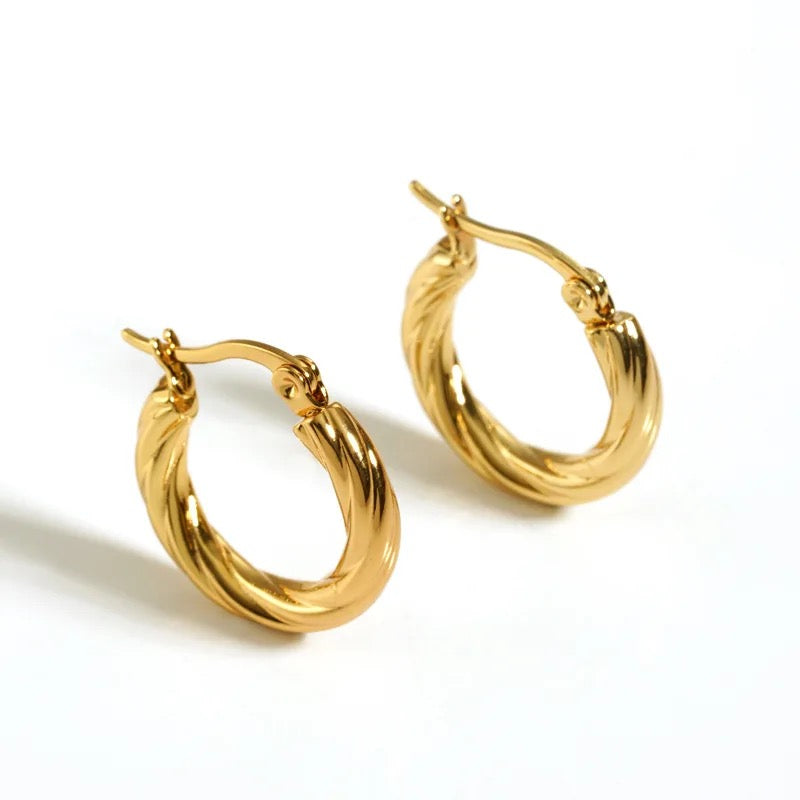 Twisted Elegant Hoop Earrings