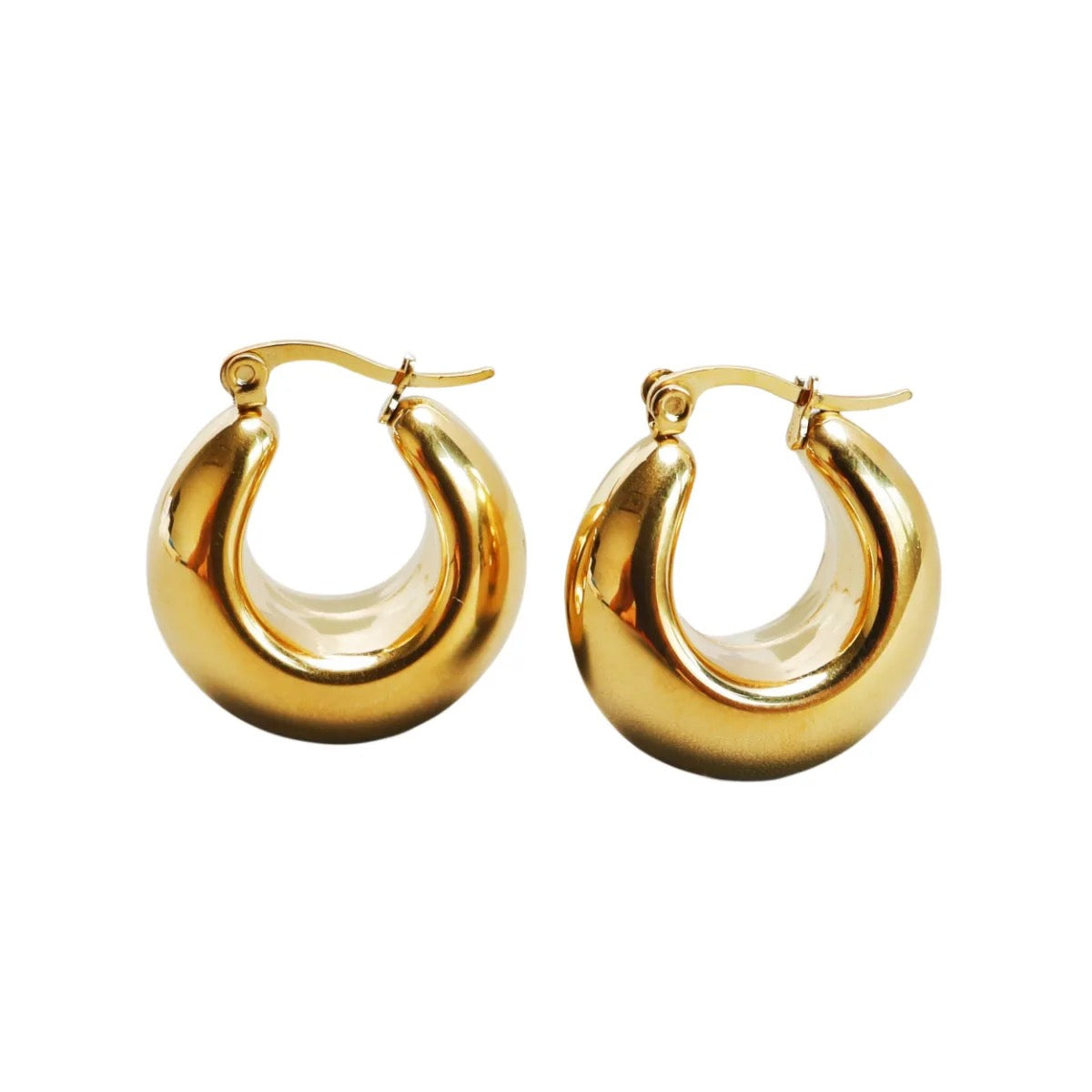 Charming Delight Hoop Earrings