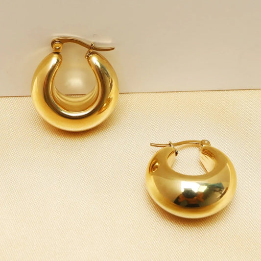 Charming Delight Hoop Earrings